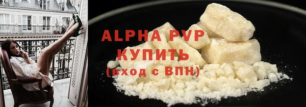 ПСИЛОЦИБИНОВЫЕ ГРИБЫ Вязьма