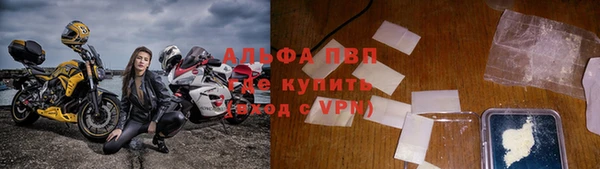 ПСИЛОЦИБИНОВЫЕ ГРИБЫ Вязьма
