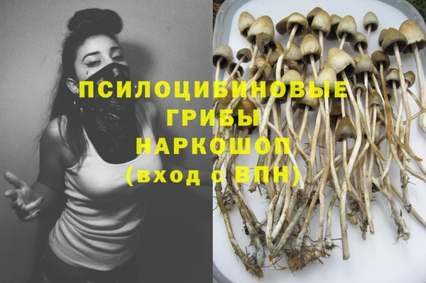дурь Вяземский