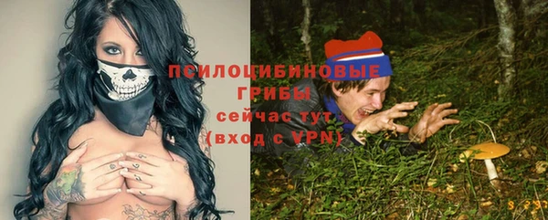 дурь Вяземский