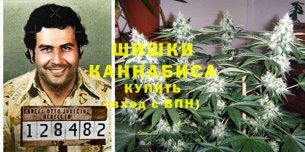 дурь Вяземский