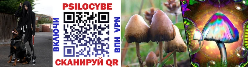 Псилоцибиновые грибы Magic Shrooms  Архангельск 